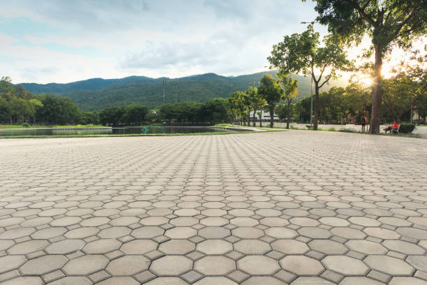 Best Driveway Resurfacing Pavers  in Wrangell, AK