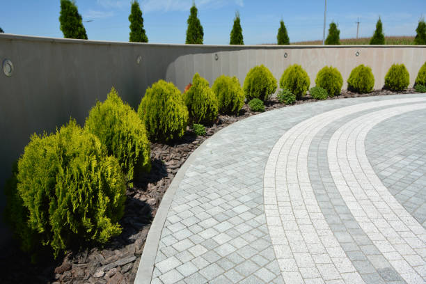 Best Driveway Pavers Cost  in Wrangell, AK